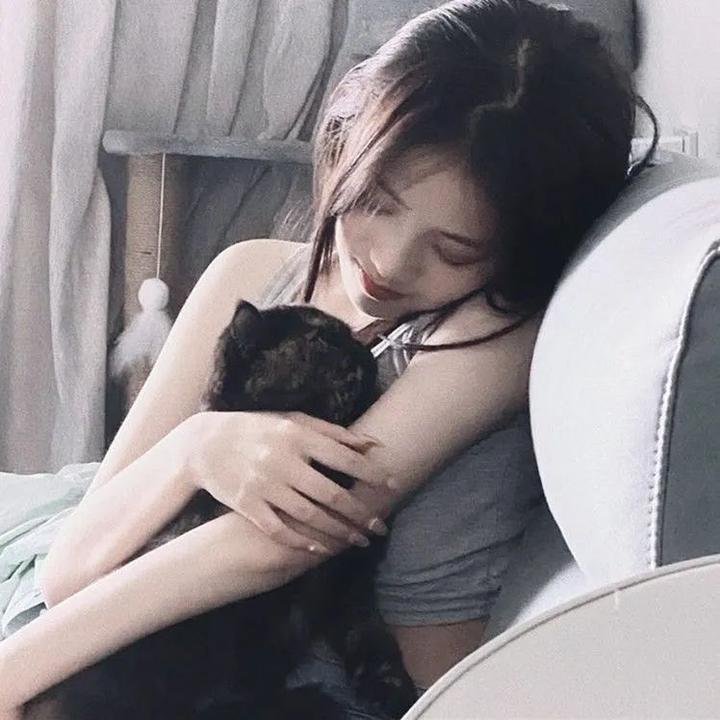 猛虎之家